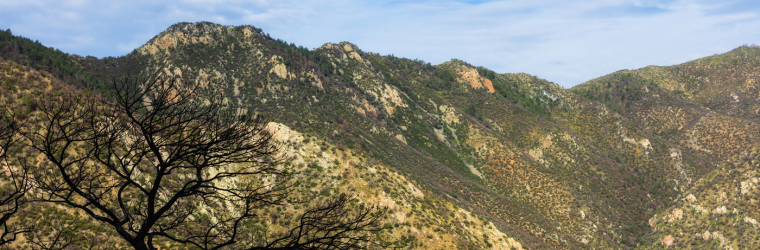 Close-Up of Huachuca Mountains.