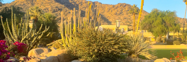 Arizona cactus garden with santa-fe style home in the background with hill be hind it.